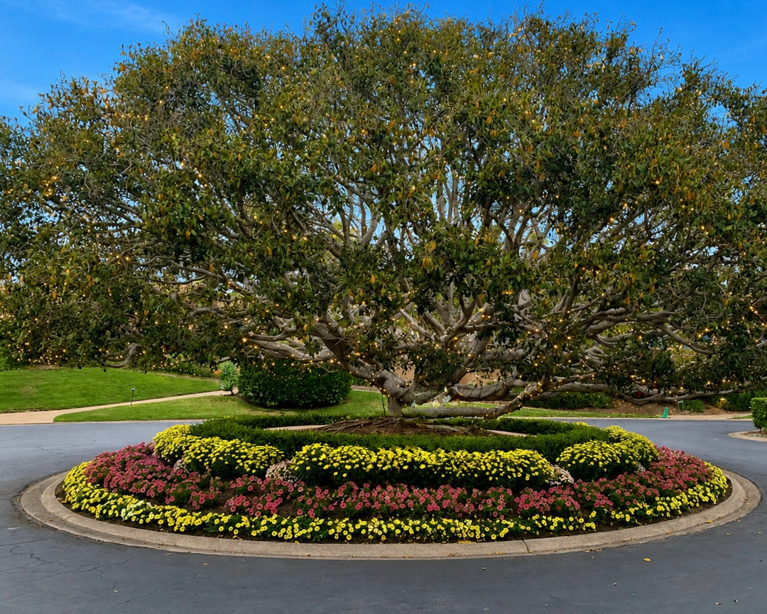 The Leisurist Weekend Guide: Rancho Valencia, San Diego